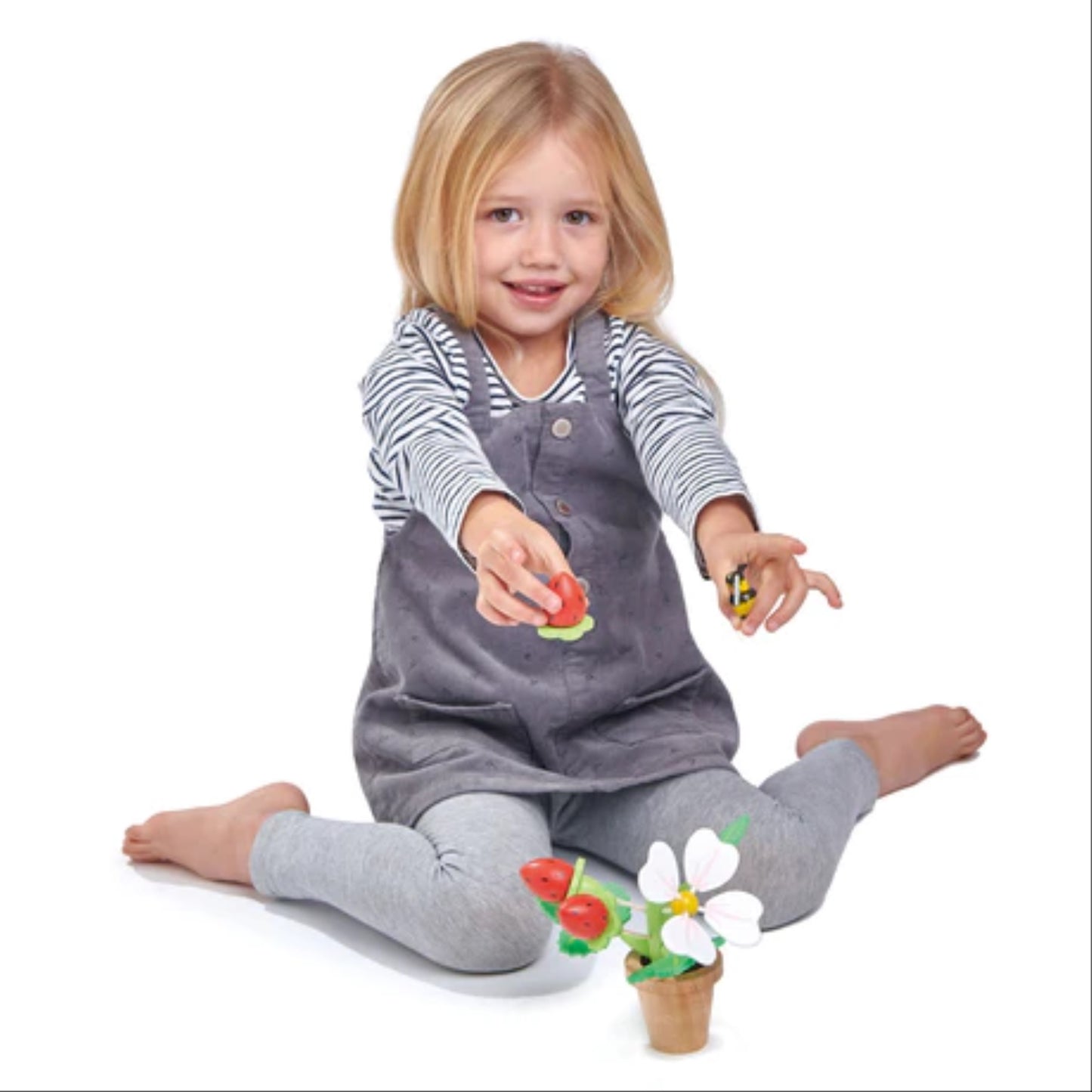 Tender Leaf Strawberry Flower Pot
