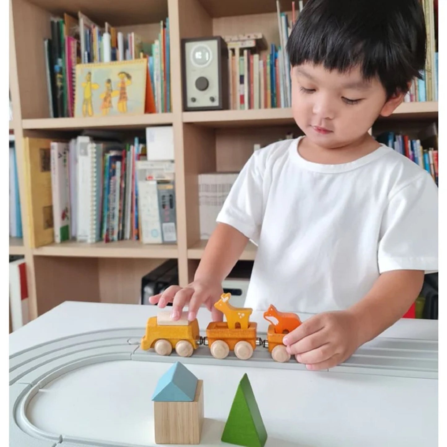 PlanToys Classic Train